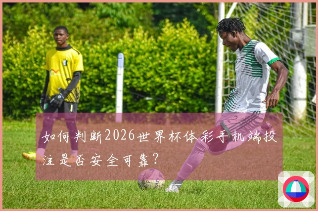 如何判断2026世界杯体彩手机端投注是否安全可靠？