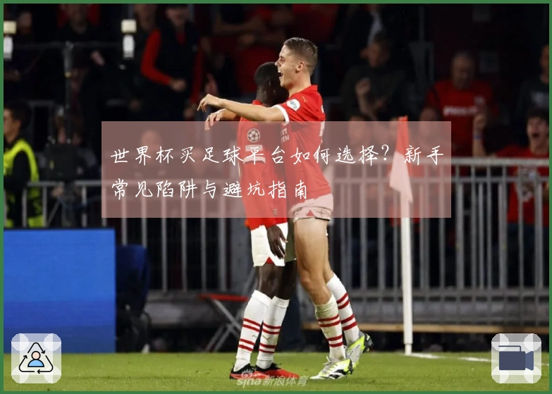 世界杯买足球平台如何选择？新手常见陷阱与避坑指南