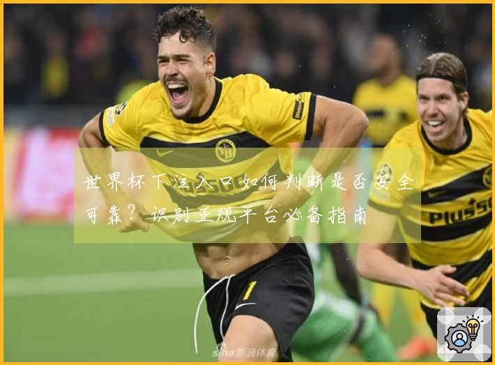 世界杯下注入口如何判断是否安全可靠？识别正规平台必备指南
