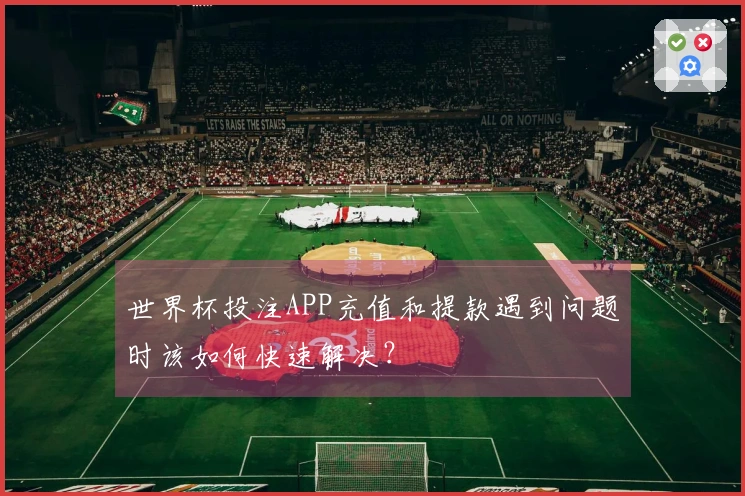 世界杯投注APP充值和提款遇到问题时该如何快速解决？