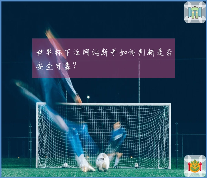 世界杯下注网站新手如何判断是否安全可靠？